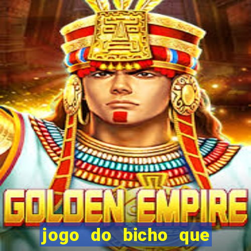 jogo do bicho que paga no pix